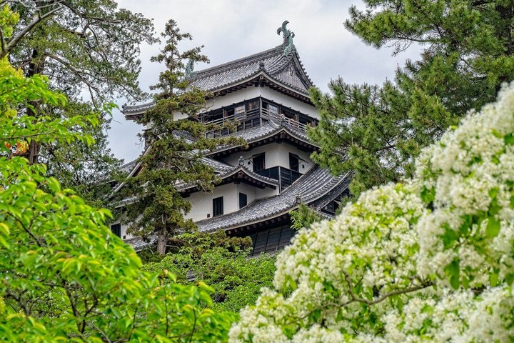 Tempel hinter Bäumen in Japan