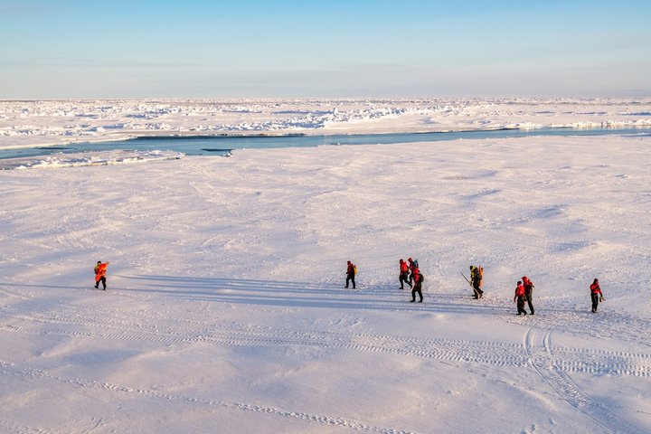 Wandern auf dem Packeis Wandern auf dem Packeis