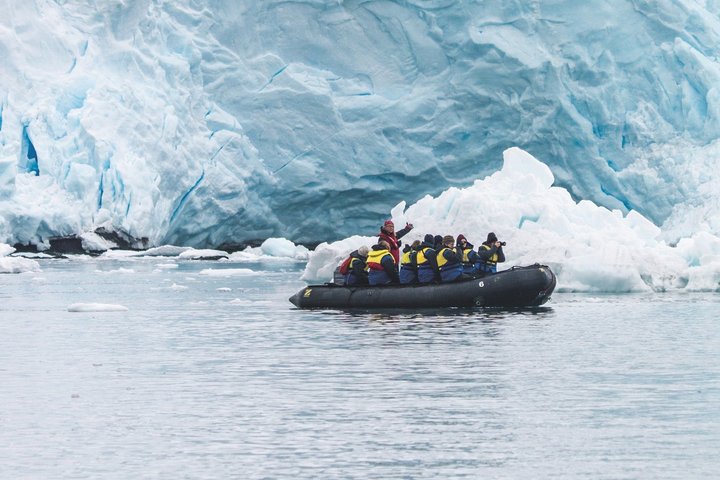 Zodiacausflug Zodiacausflug