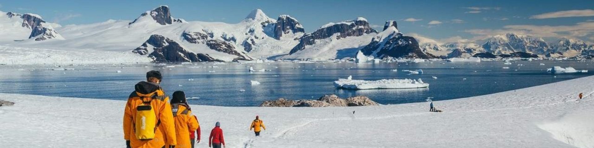 Wanderer in der Antarktis