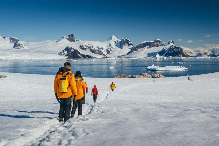 Wanderer in der Antarktis