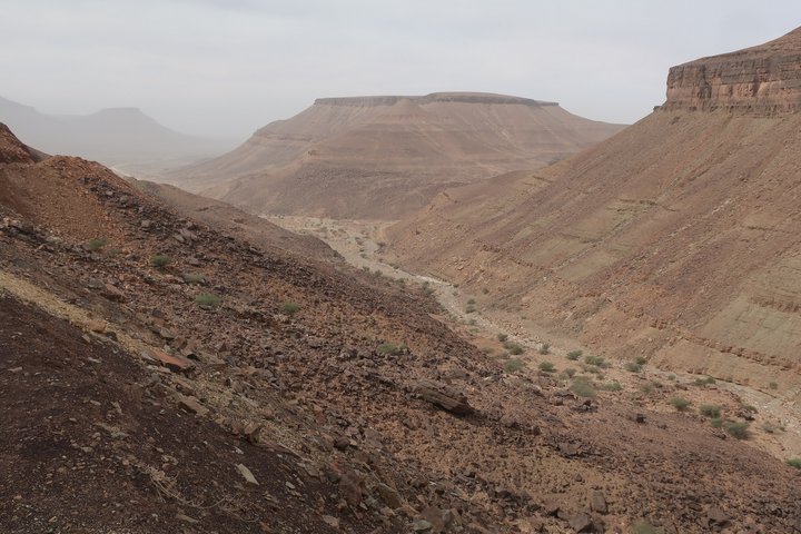 Canyonlandschaft in Mauretanien