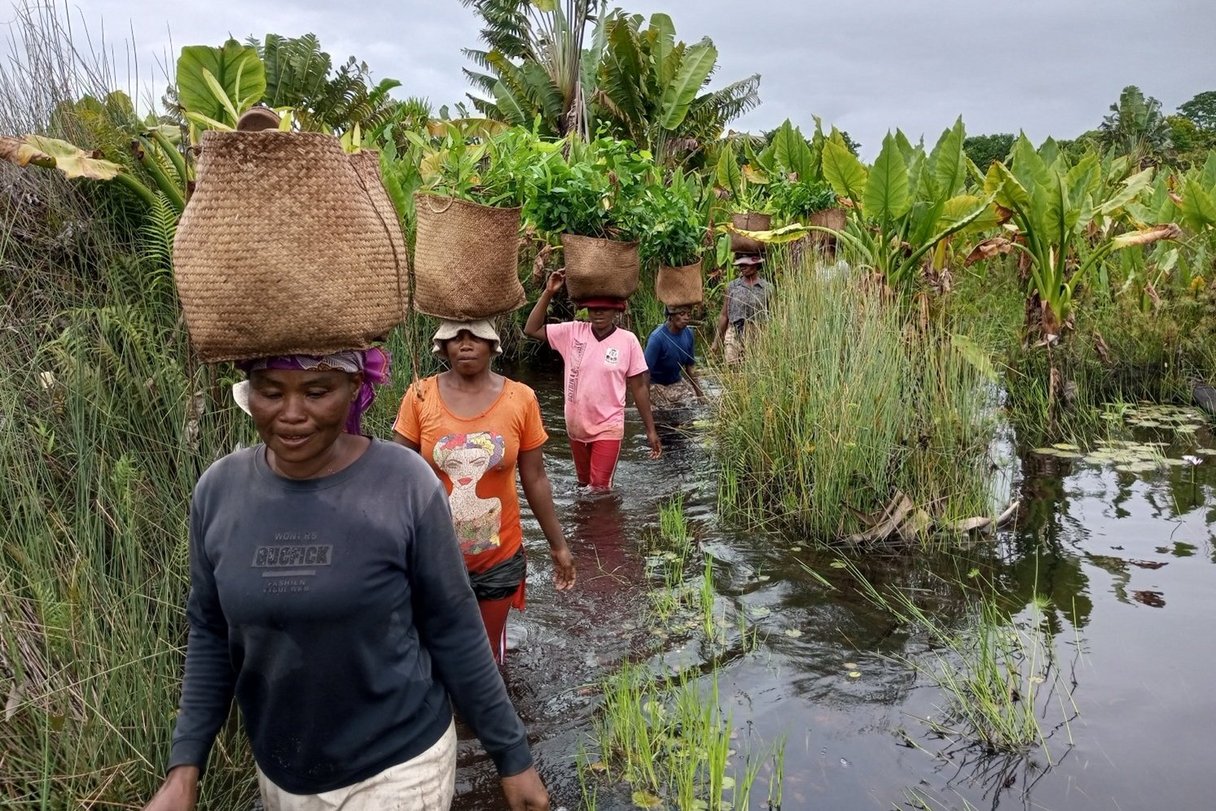 Masoala, Naturschutzprojekt in Madagaskar