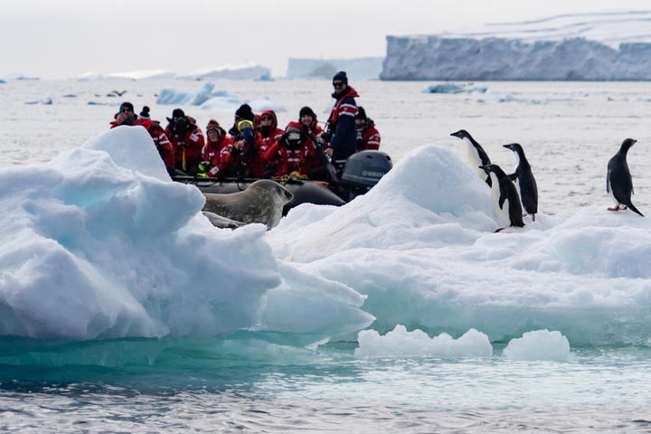 Zodiac vor Eisscholle mit Robben und Pinguinen