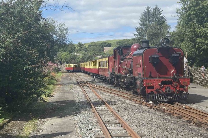 Vale of Rheidol Railway Vale of Rheidol Railway Dampfzug