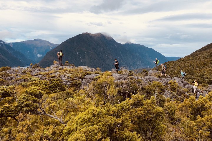 Secretary Island in Neuseeland