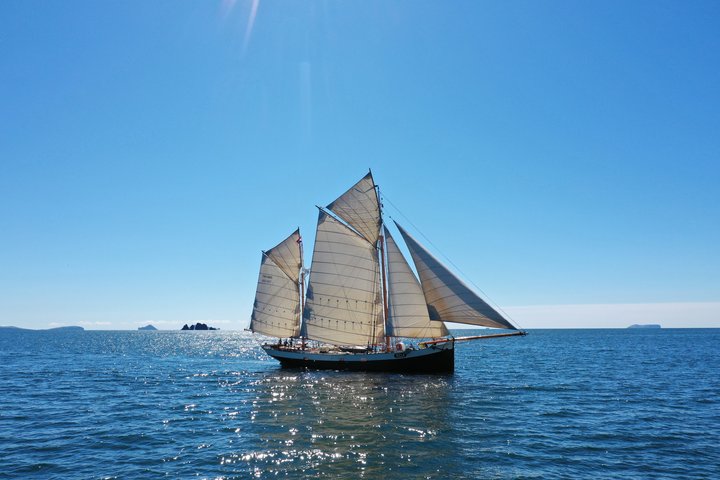 Segelschiff Tecla